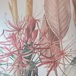 Botanic * Este