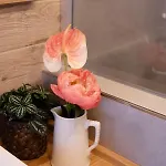 Botanic Appartement *