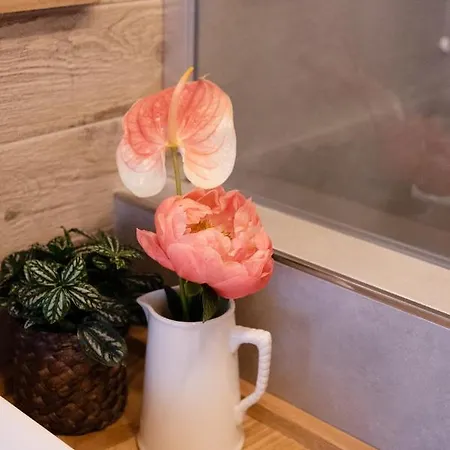 Botanic Апартаменты *