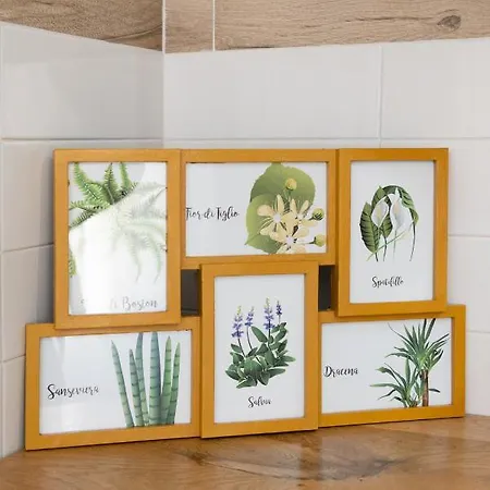 Botanic