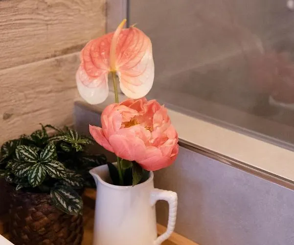 Botanic Apartmán *