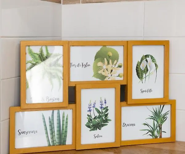 Botanic